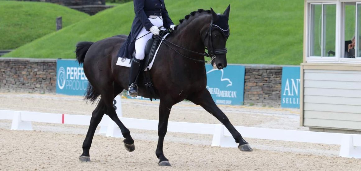 North Bridge Equine Client Forms