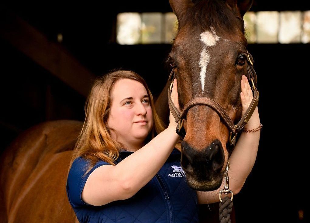North Bridge Equine veterinarian performing chiropractic adjustment on a performance horse