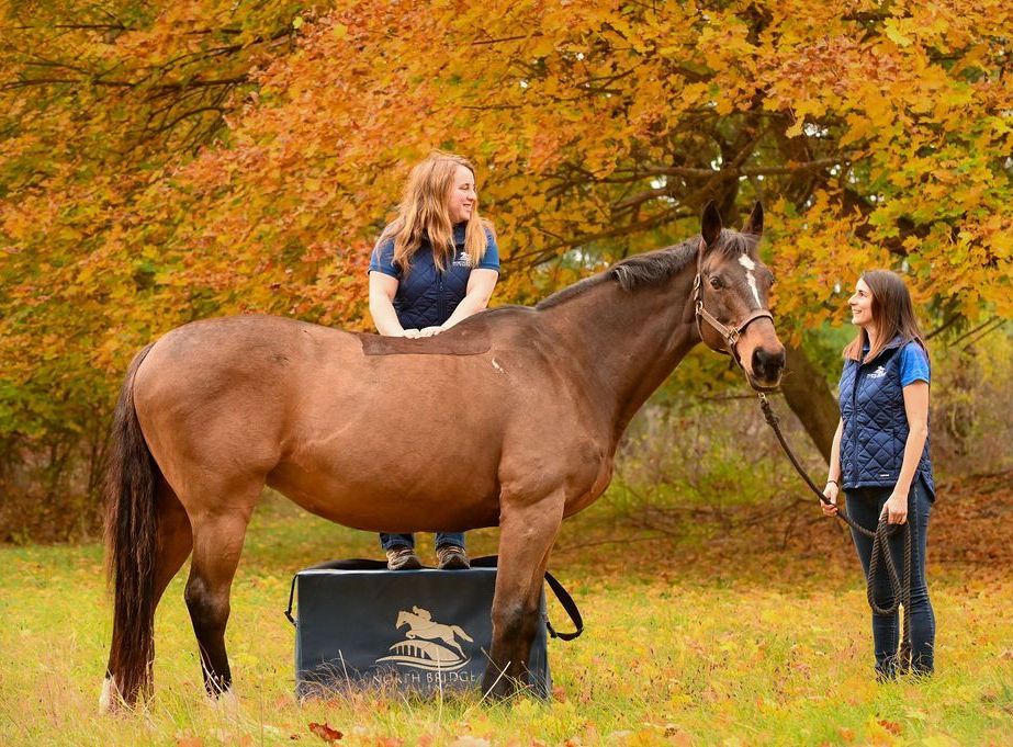 Team at North Bridge Equine