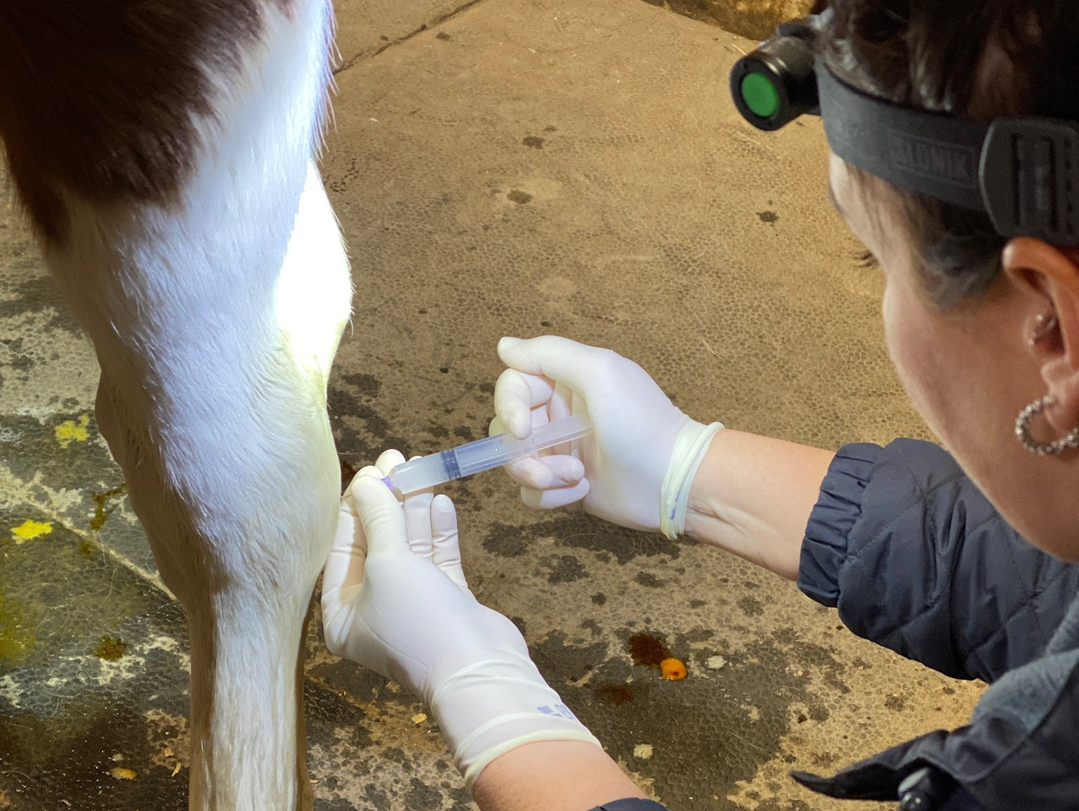 Joint Treatment