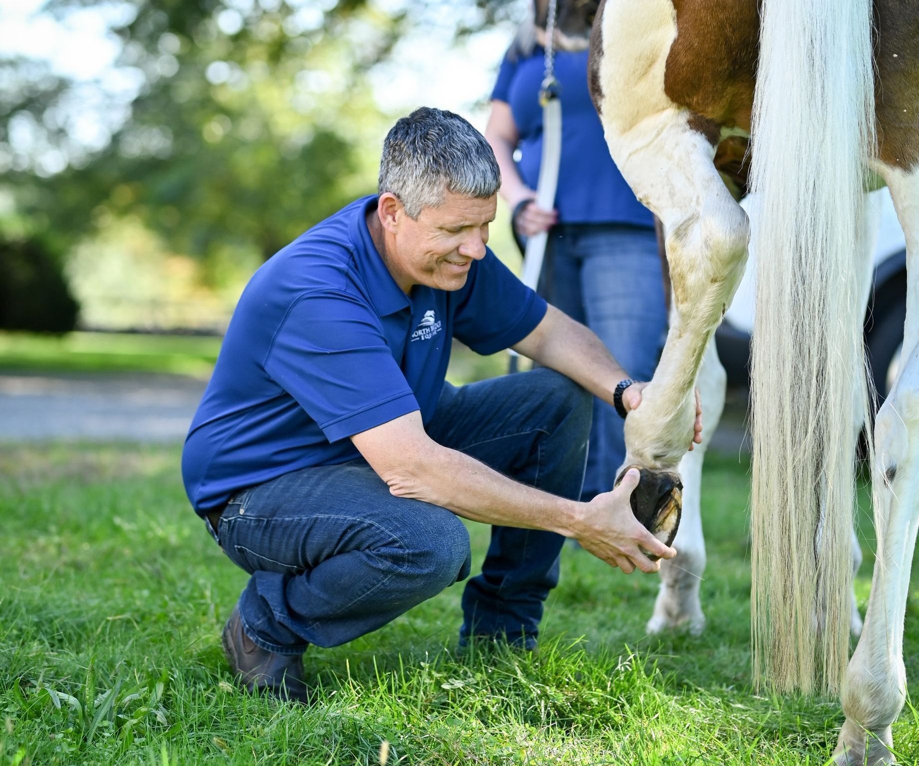 Lameness Evaluation