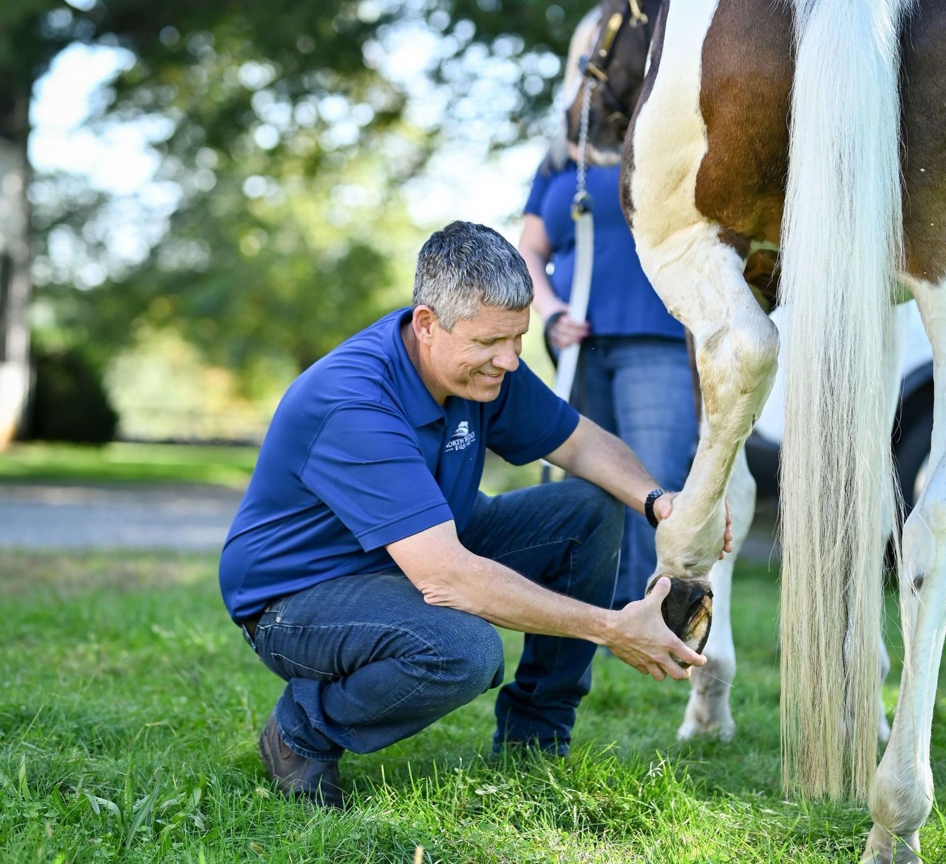 Lameness Evaluation