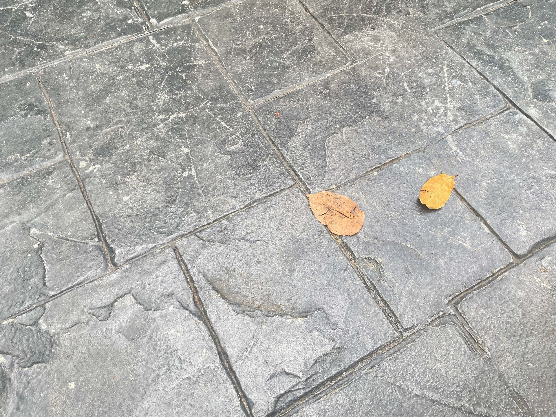 A leaf is laying on a brick floor.