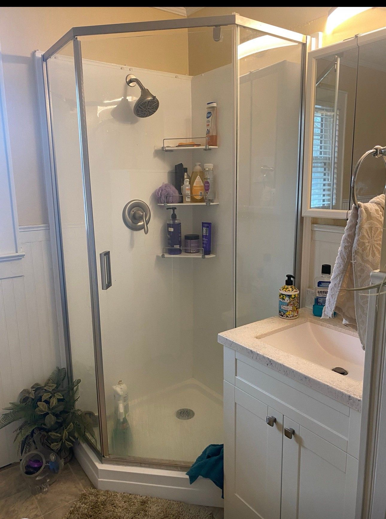 Bathroom with a white corner shower, white vanity, and a sink.