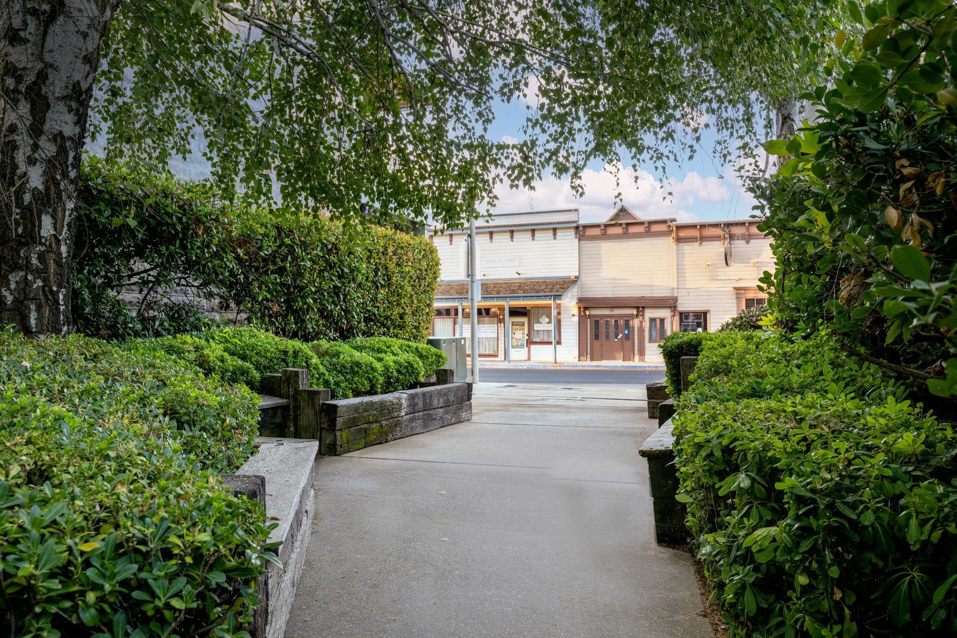 A path leading to a shopping mall surrounded by trees and bushes.