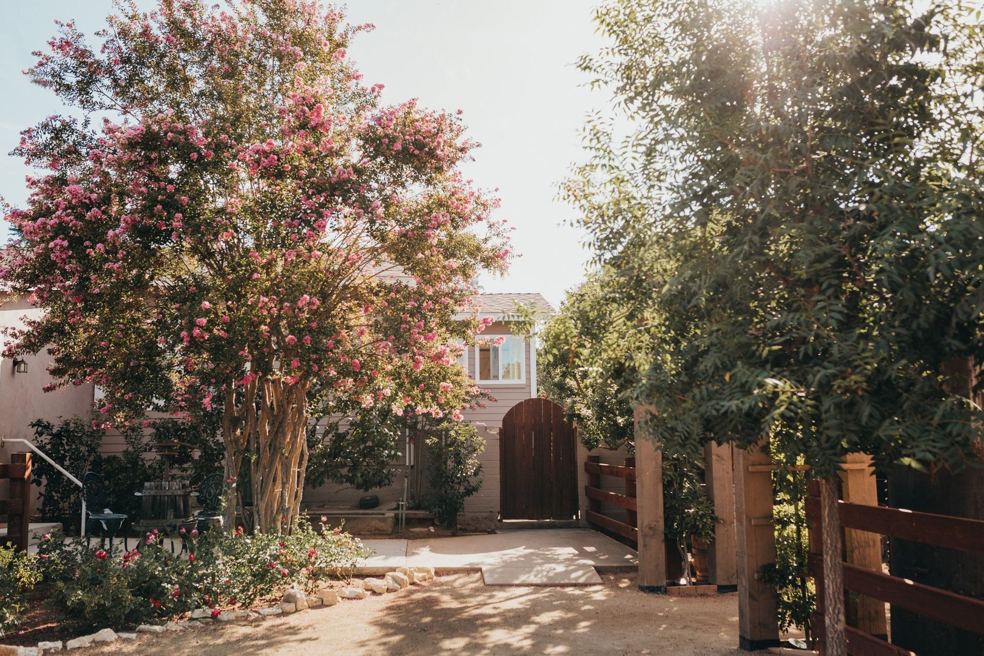 A driveway leading to a house surrounded by trees and bushes.