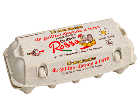 Cartone di uova marroni in confezione di plastica trasparente su sfondo bianco.