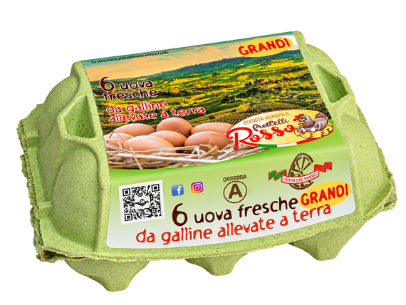 Scatola di cartone verde per uova, contenente sei uova marroni e con etichetta in stile rustico.