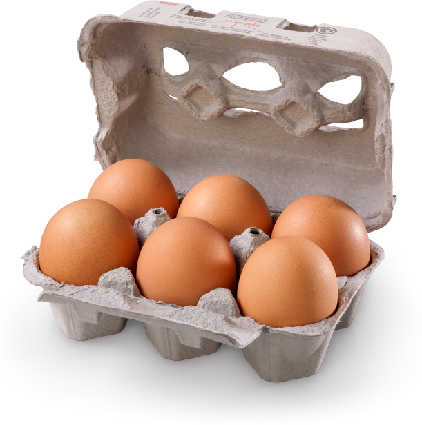 Scatola aperta contenente sei uova marroni su sfondo bianco.