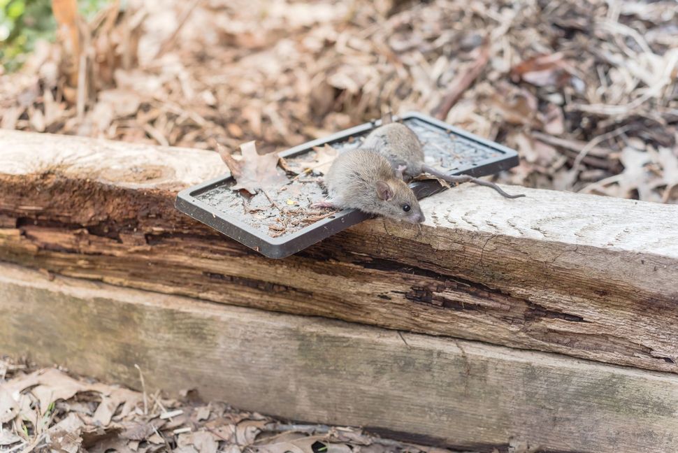 Panchina di legno crollata con una lastra di cemento rotta appoggiata sopra, all'aperto.