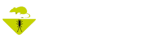 Sanactive logo