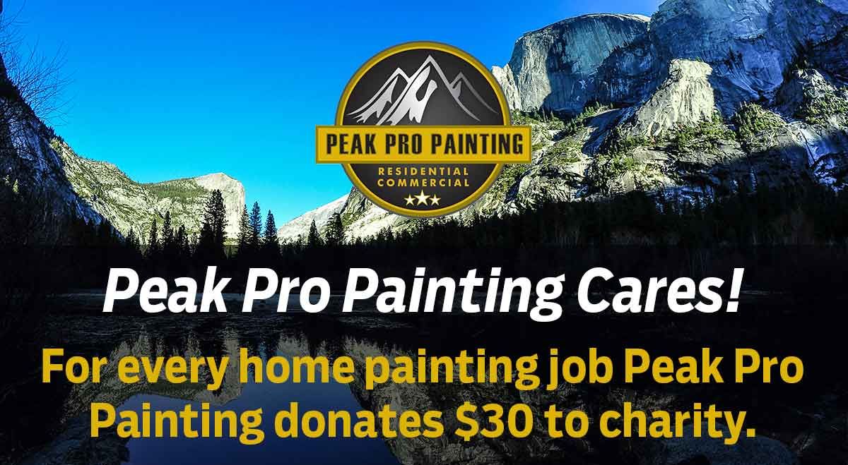 Peak Pro Painting logo over a mountain landscape with text: