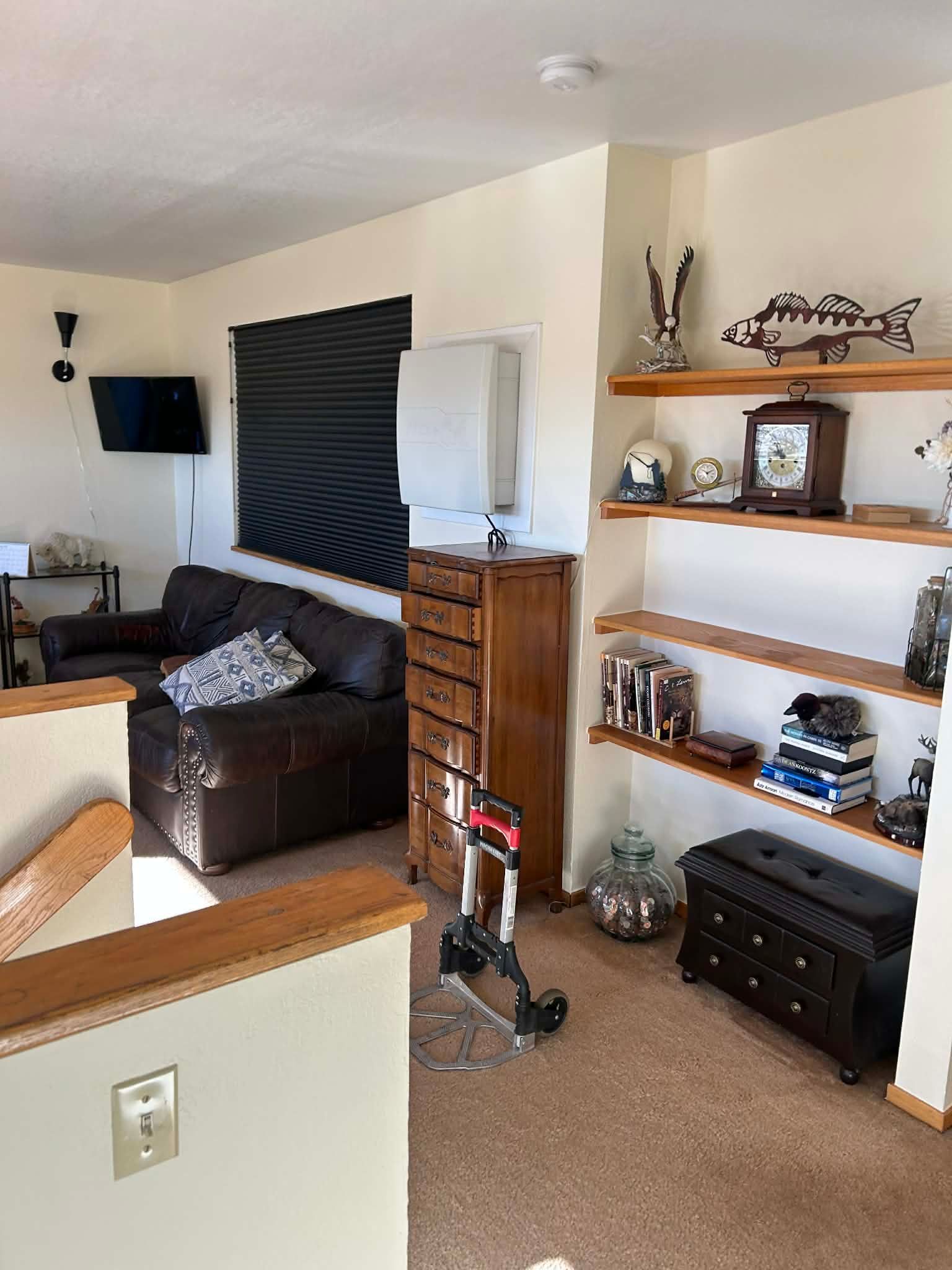 A living room with a dark leather couch, a wooden cabinet, a rolling cart, and shelves displaying various decor items.