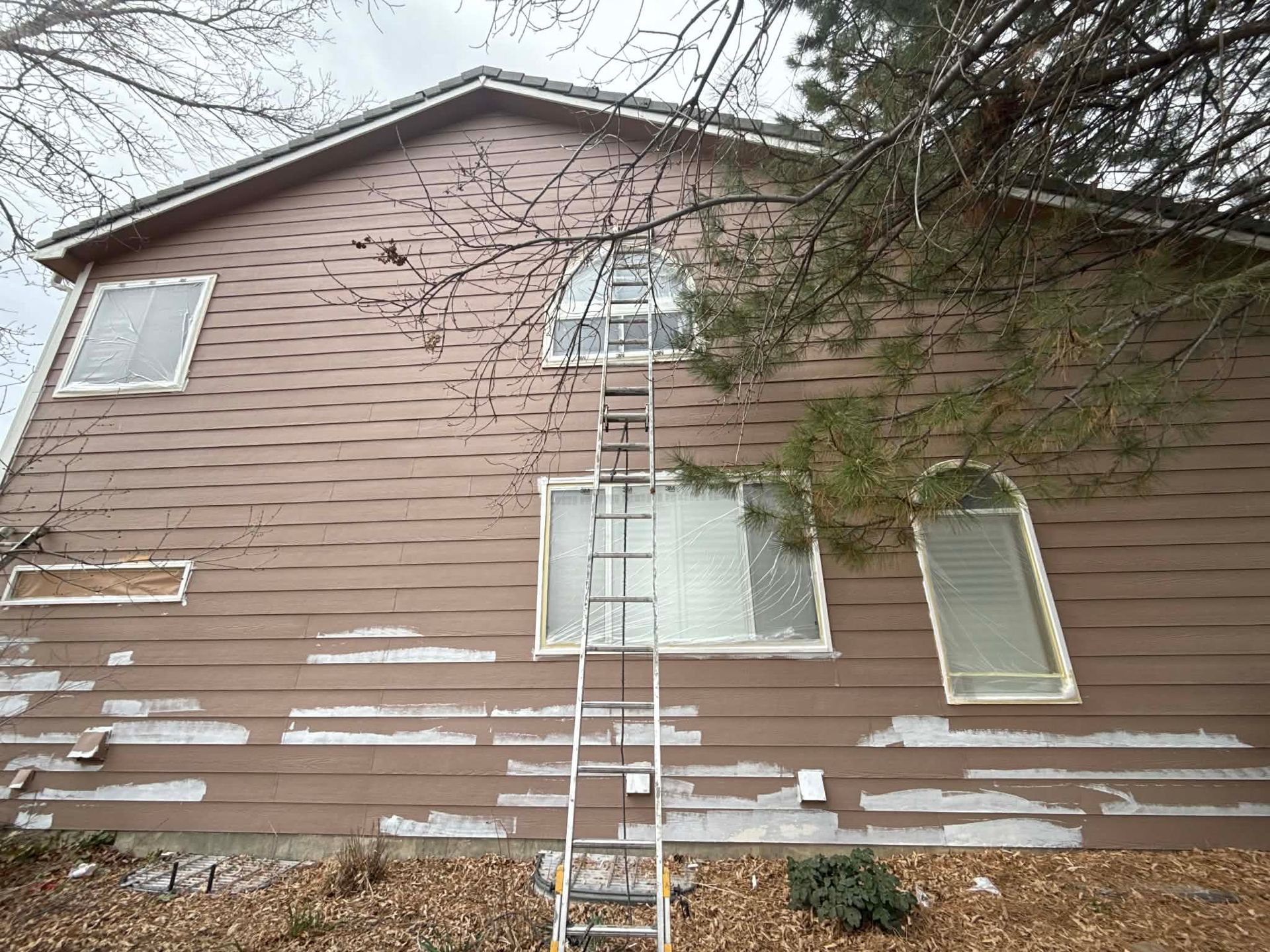 A brown house exterior shows significant paint peeling on the lower siding, with a tall metal ladder leaning against it.