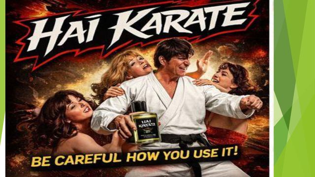 Kai Karate Brand Guide Page 1