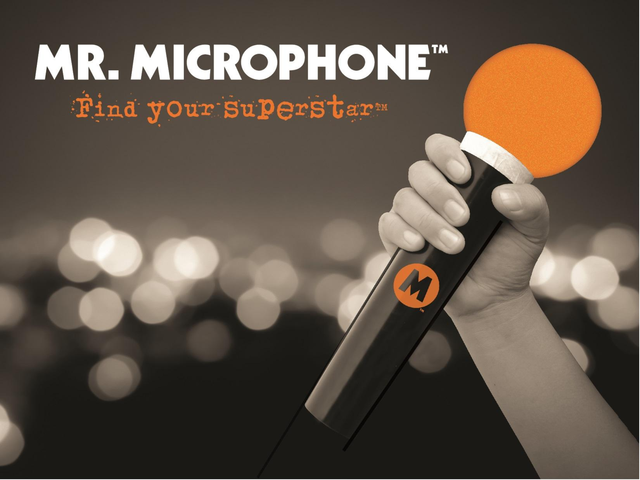Mr. Microphone Brand Guide Page 1