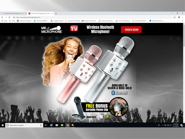 Mr. Microphone Brand Guide Page 5