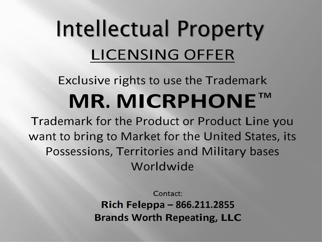 Mr. Microphone Brand Guide Page 6