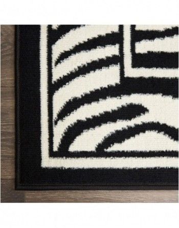 A black and white rug with a zebra print on it