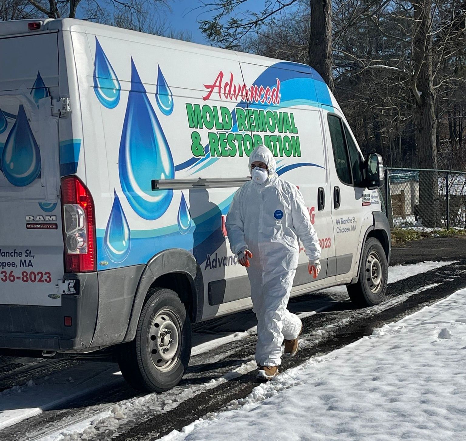 mold removal service expert in Wilbraham, MA
