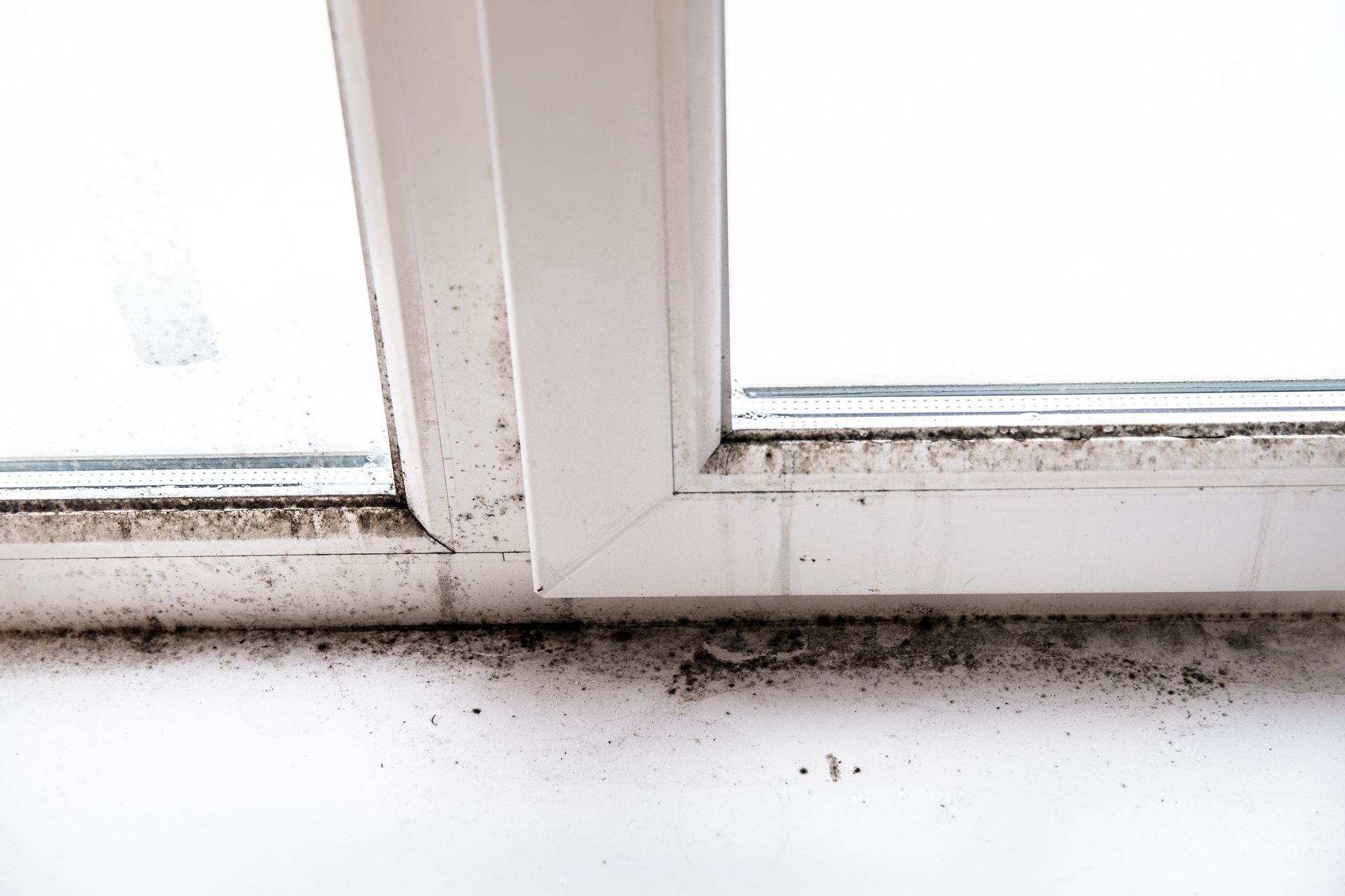 Mold In basement