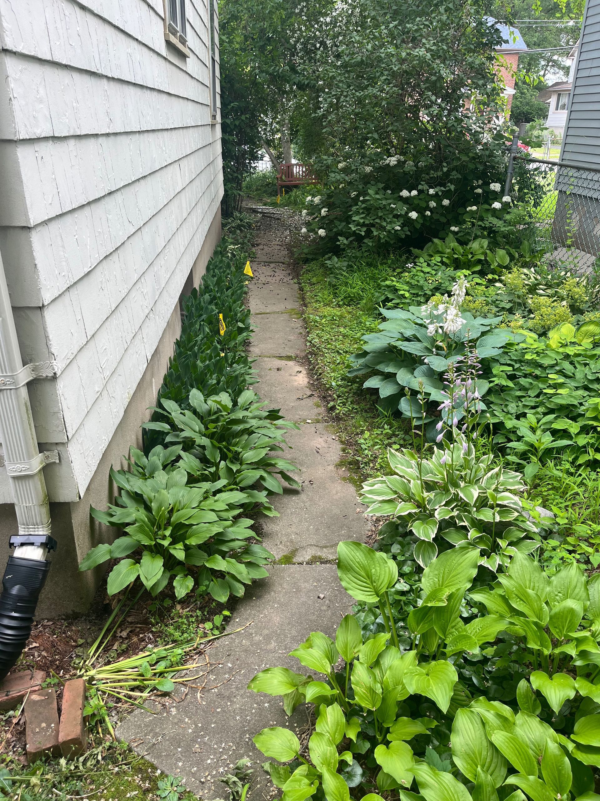 purge scaping