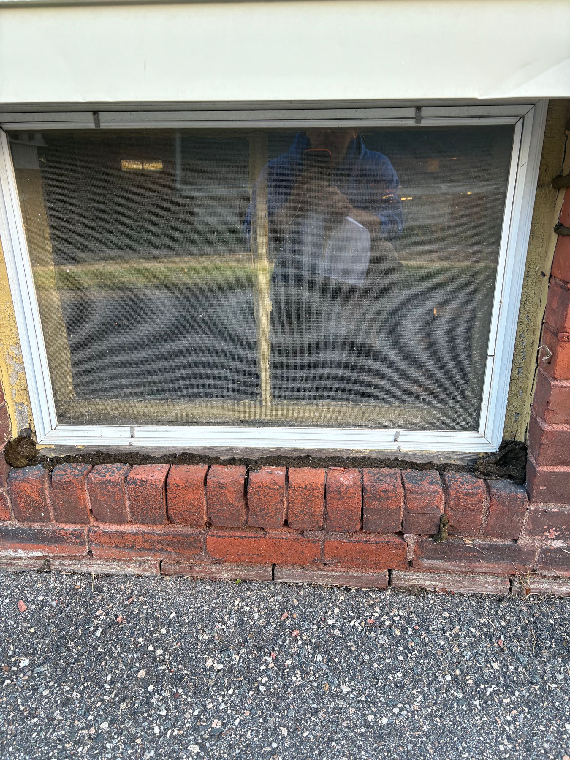 A basement window with a screen set in a brick wall, viewed from the exterior.