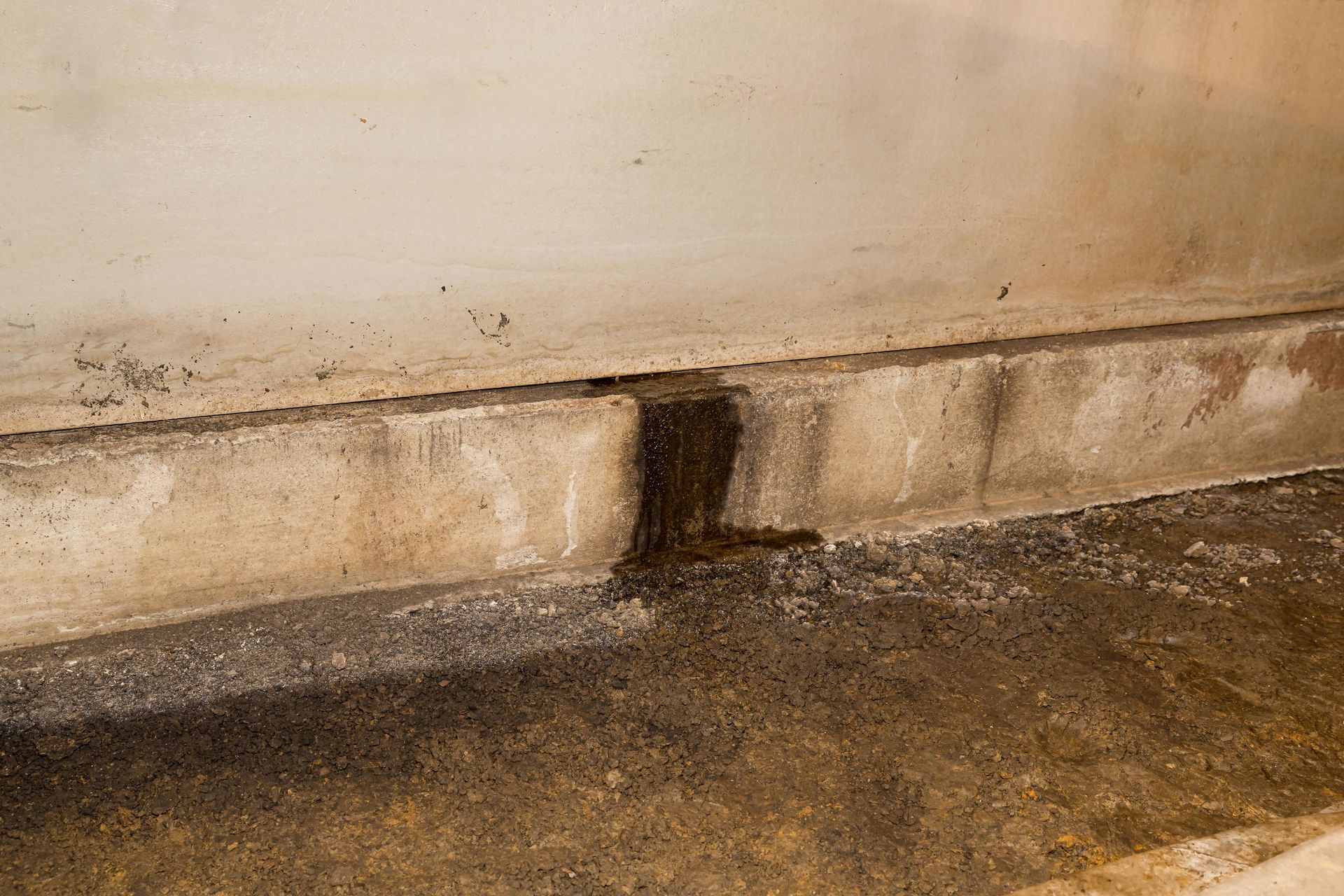 Home in Western MA after mold remediation servivces