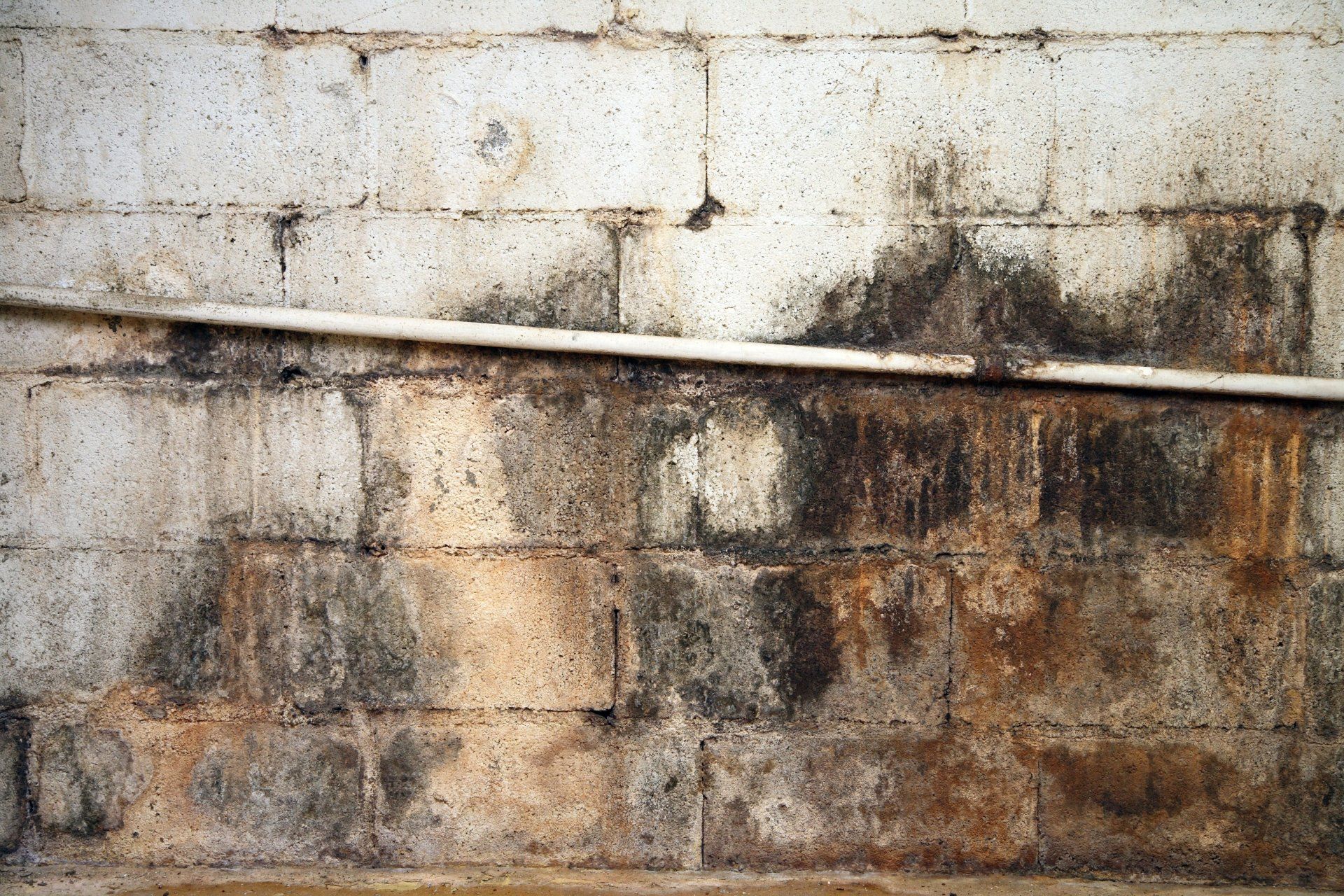 A concrete block wall showing significant dark stains and discoloration from water damage and potential mold growth.
