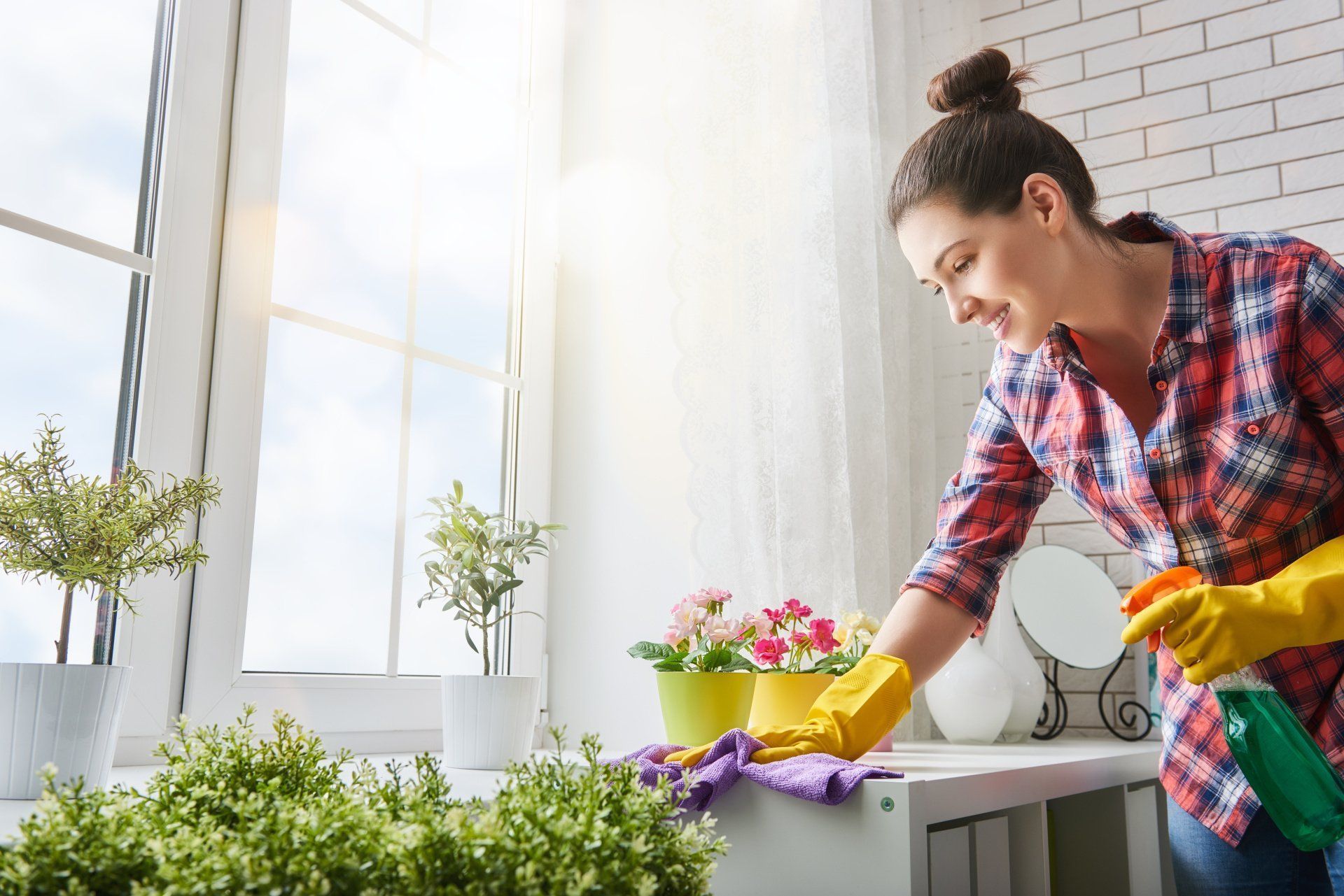 Mold Free Home