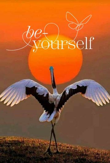 kraanvogel be-yourself