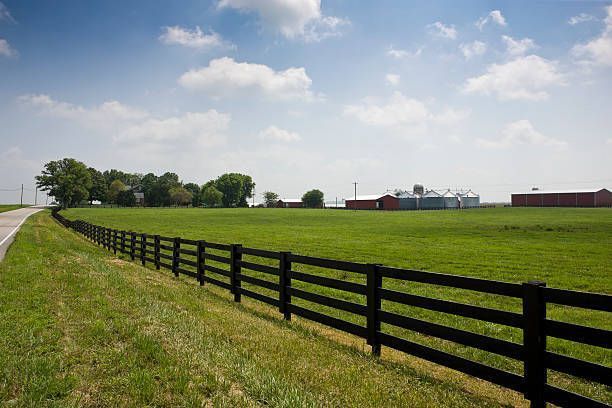 Black fence lines a road next to a green field with buildings in the background, under a blue sky.