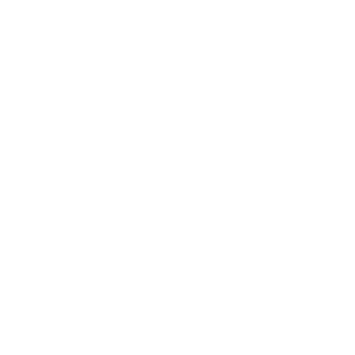 Professional IT Icon