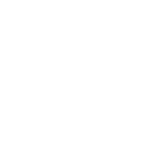 Computer Software Icon