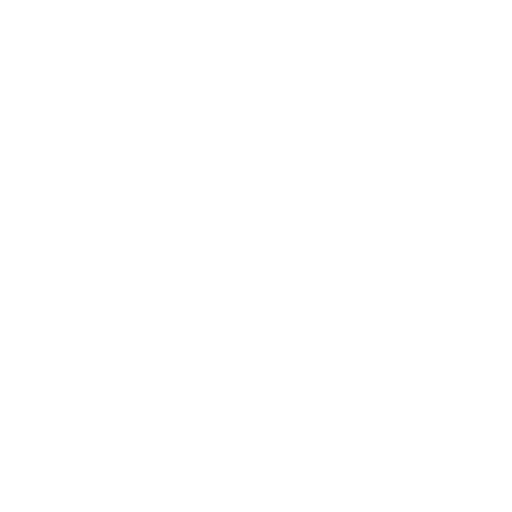 Duplicated IP Addresses Icon