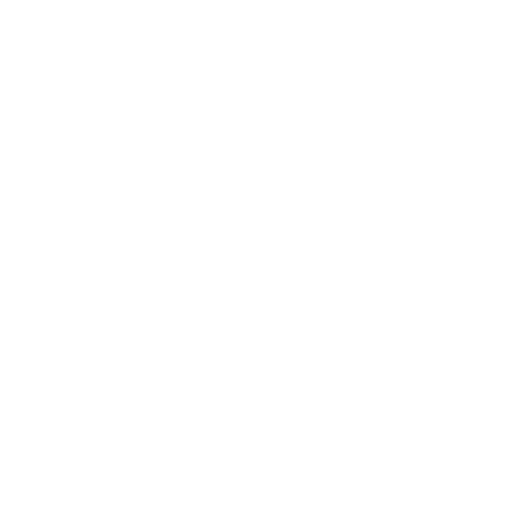 General Networking Errors Icon