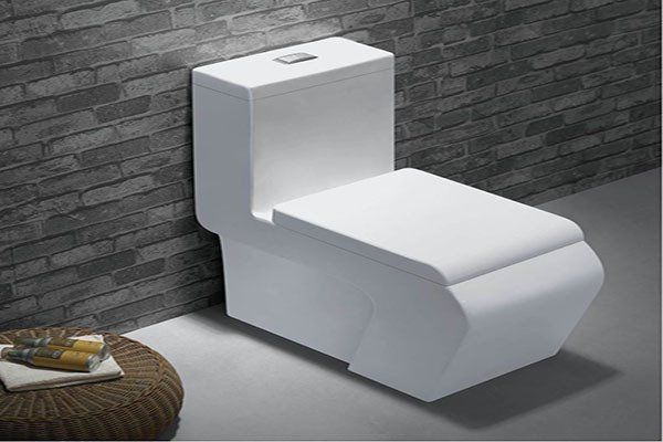 toilet