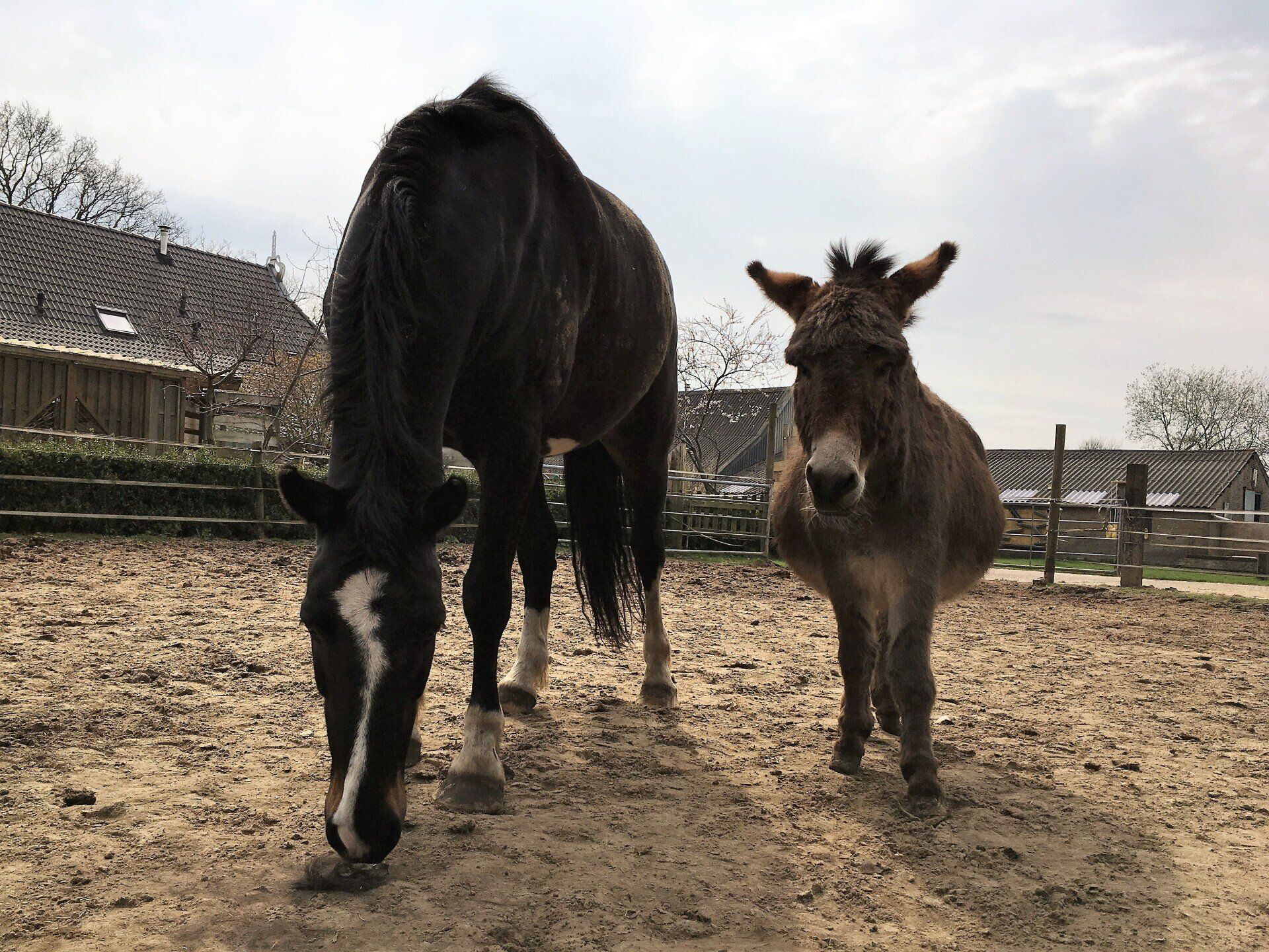 Donderwolk & Gijs