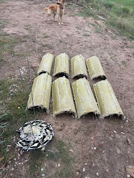 Seven bamboo-like mats laid on dirt, with a dog standing in the background.