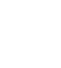 icon - diagnostic