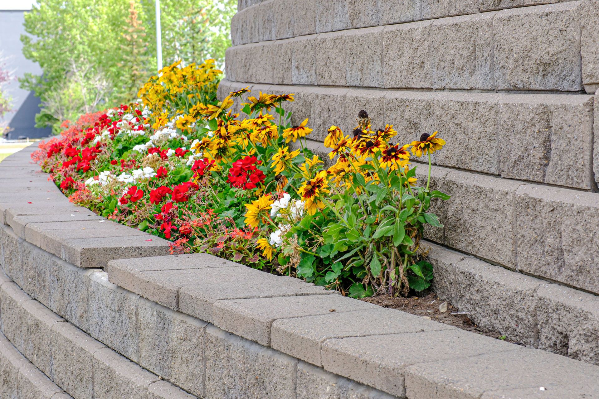 Flower bed with colorful blooms next to a tiered gray brick retaining wall.