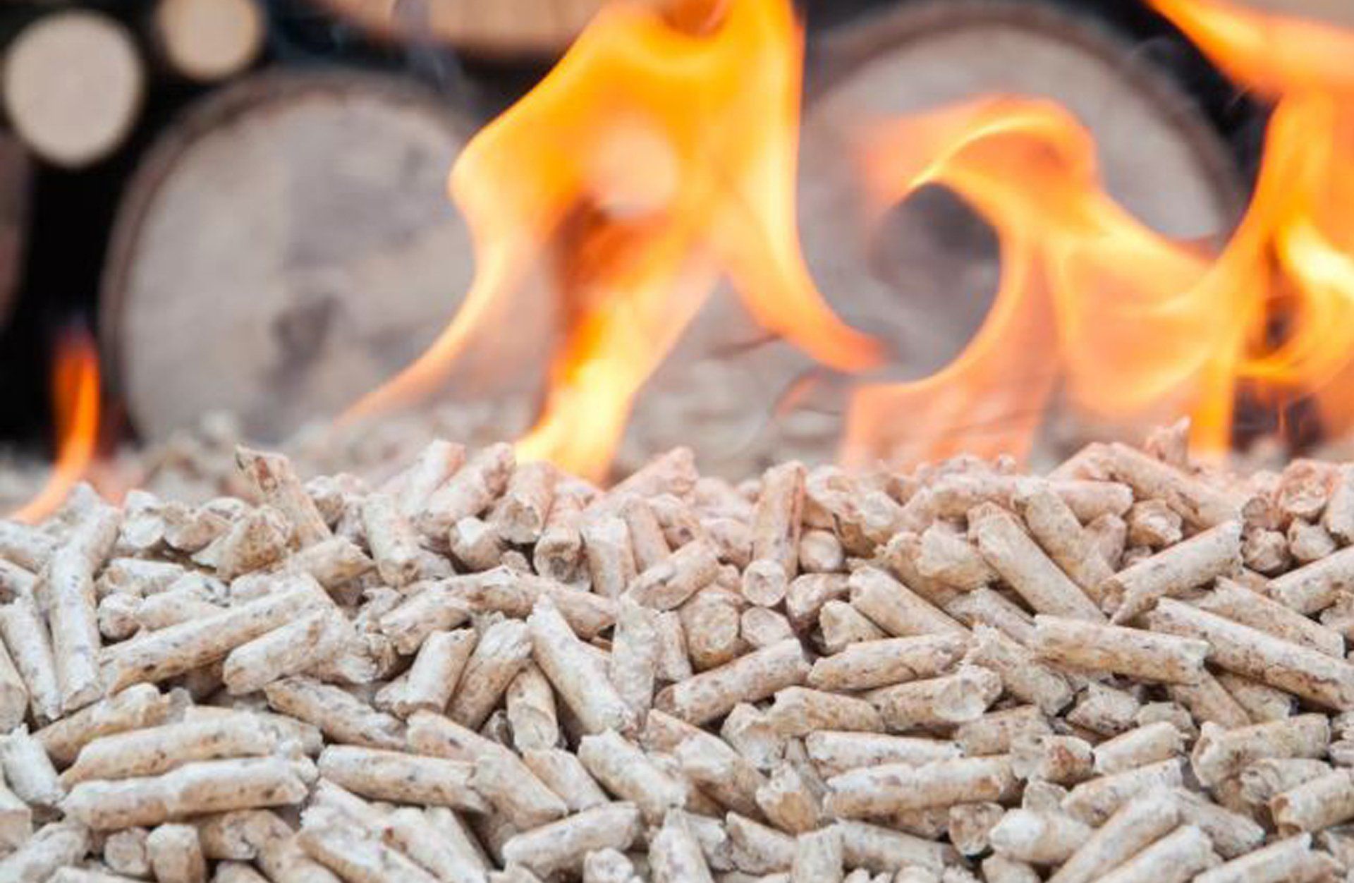 pellets