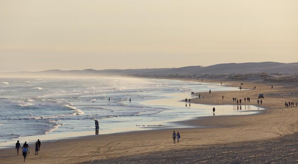 Group of People Are Walking on a Beach Near the Ocean — NCM Towing Newcastle In Stockton, NSW