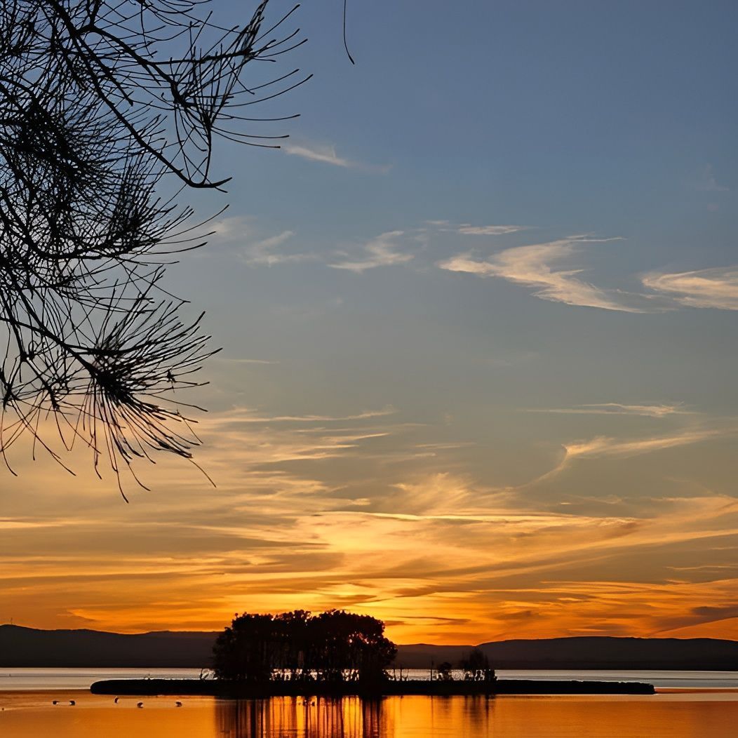 A Small Island In The Middle Of A Lake At Sunset — Coastal Vibez In Ourimbah, NSW
