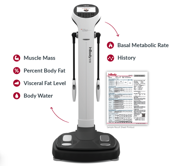 Body composition analyzer scale with handle, displaying muscle mass, body fat, water, basal metabolic rate, and history.