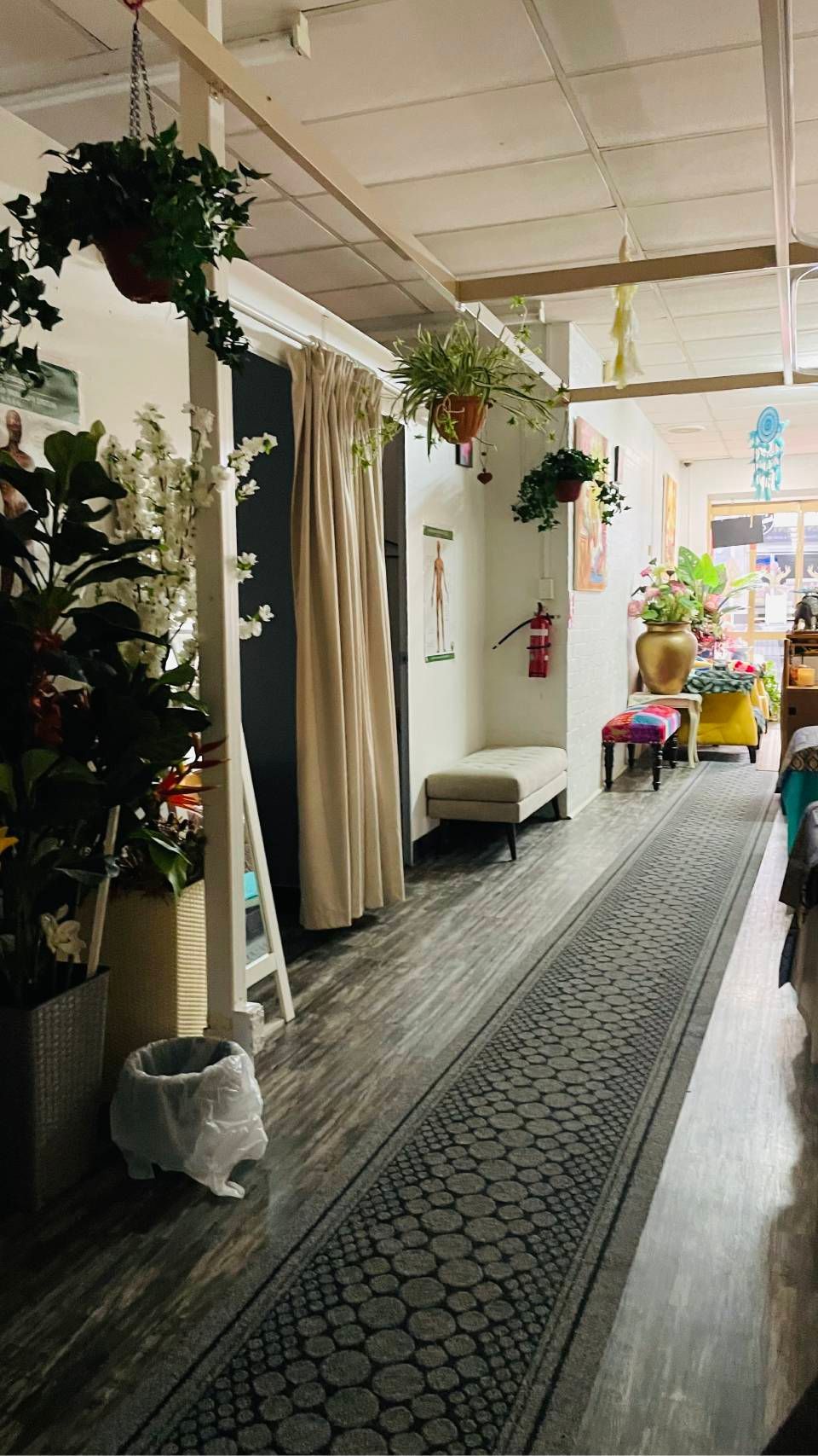Long hallway with hanging plants, curtains, a patterned runner, and daylight at the far end