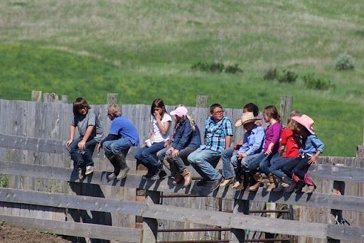 Children sitting on a wooden fence in a rural area, wearing casual clothes and cowboy hats, enjoying a sunny day outdoors.