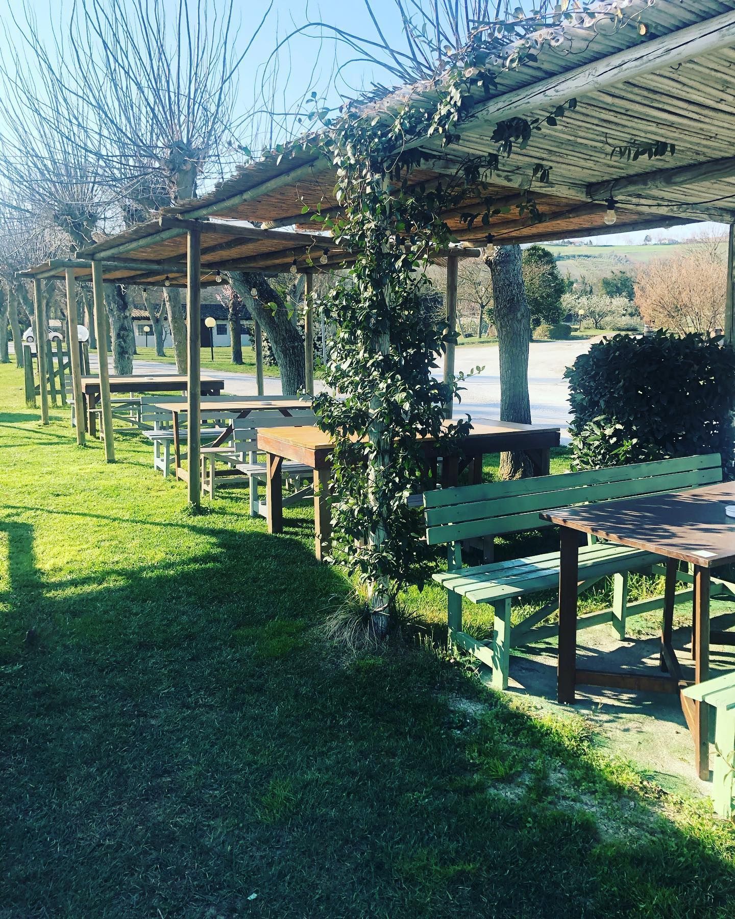 Area picnic soleggiata all'aperto con tavoli in legno e pergolati ricoperti di viti, accanto a un sentiero erboso.