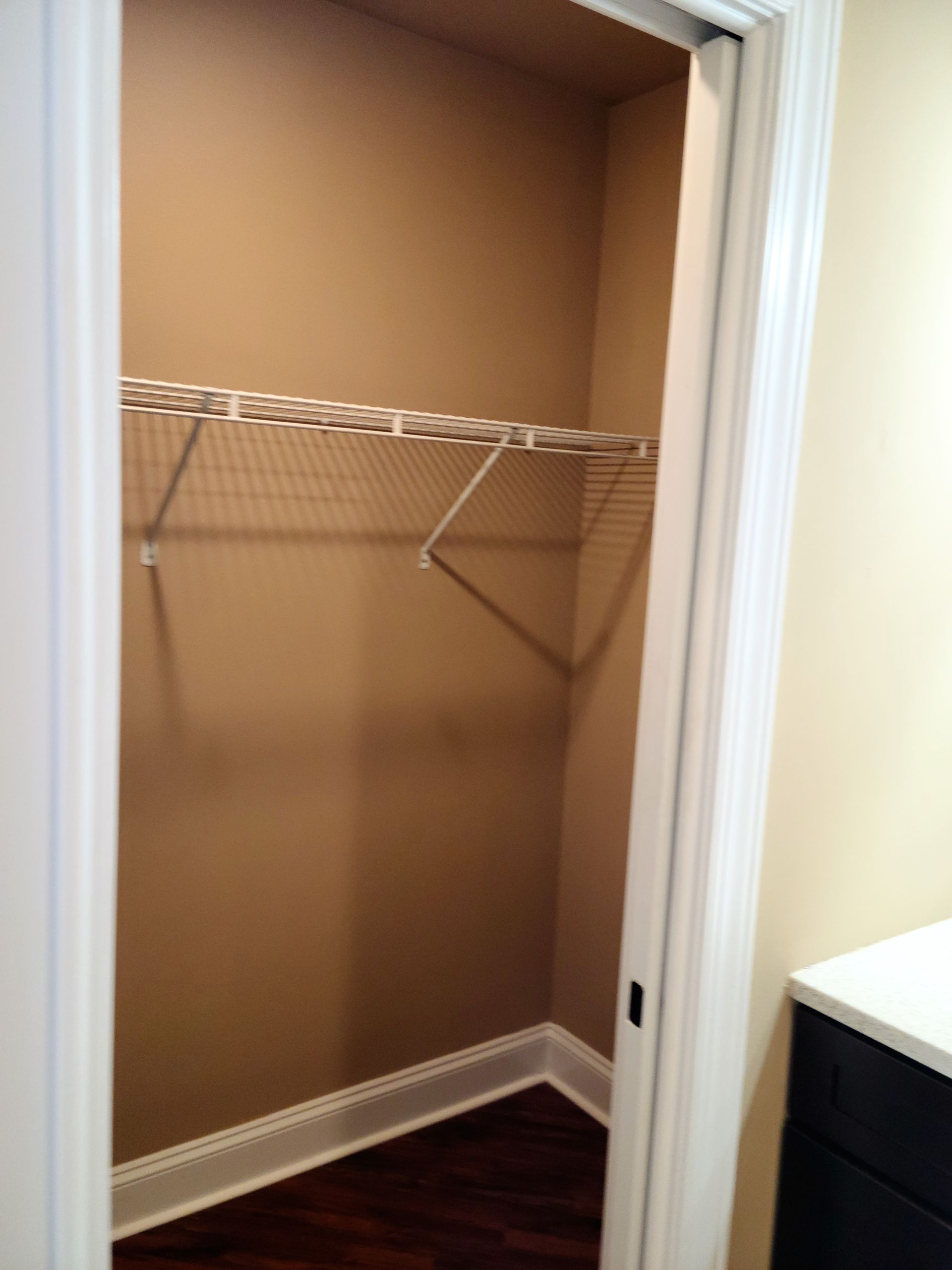 An empty walk in closet with a white door