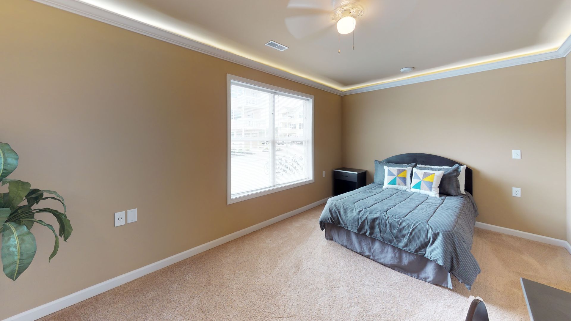 A bedroom with a bed , ceiling fan , and two windows.